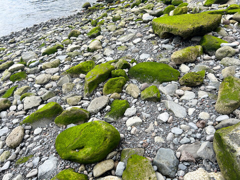View of the rocky ocean shore on a day. Madeira. Portugal.