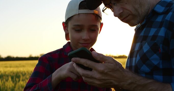 Father and son farmers check smartphone together in wheat field at sunset, discussing ideas and daily farm activities. Golden hour scene highlights family farming, communication and shared knowledge.