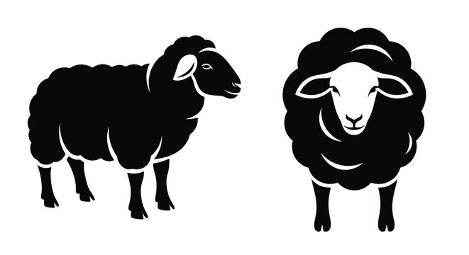 Pair of black sheep silhouettes showing side profile and front view in simple and bold graphic design style for ranch logo.