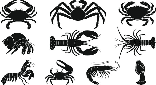 Crab and Lobster Crustacean Silhouette Vector Collection Featuring King Crab Spiny Lobster Shrimp Barnacle and Marine Sea Life Graphic Shapes
