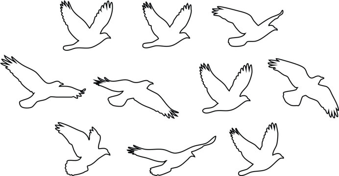 Set of black and white line of flying birds in various poses and angles isolated on a white background, for use