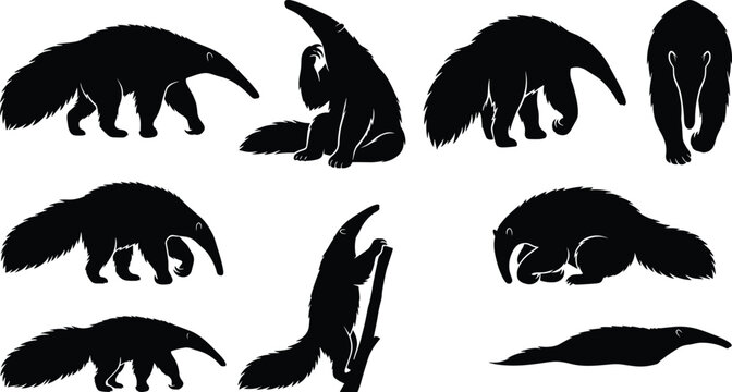Giant Anteater Silhouette Collection with Walking Standing Climbing and Resting Wildlife Vector Set