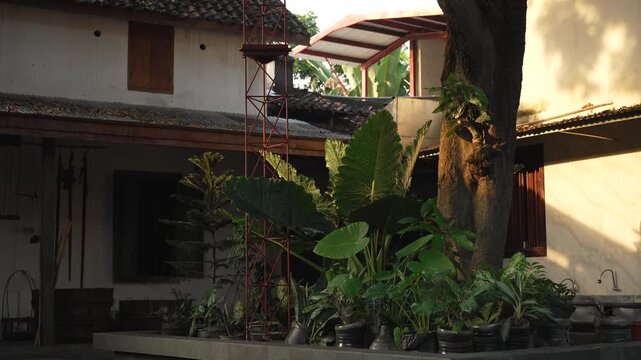 Traditional tropical house courtyard with lush green plants and trees in warm afternoon sunlight.