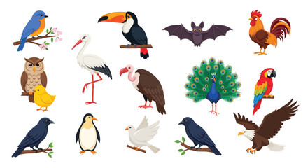 Obraz premium Comprehensive set of various bird species including a parrot, owl, eagle, penguin, peacock, and a bat on a white background.