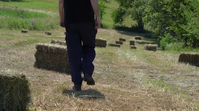 Man goes through a field of Small Square Bales - (4K)