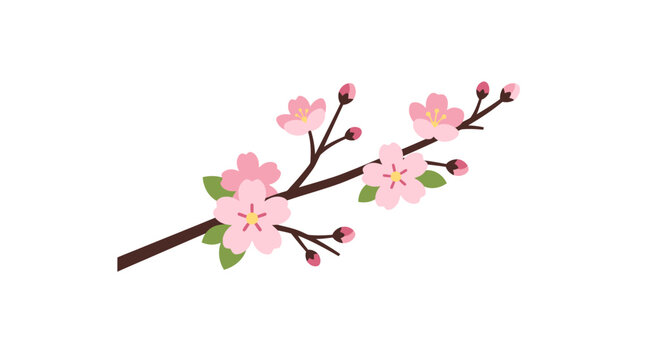 Spring Cherry Blossom Branch with Pink Flowers and Green Leaves on White Background