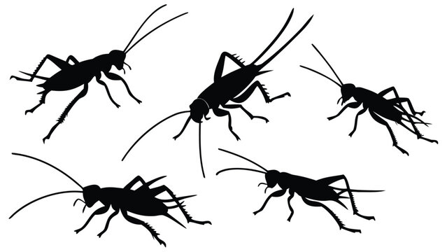 Vector illustration set of silhouettes of crickets