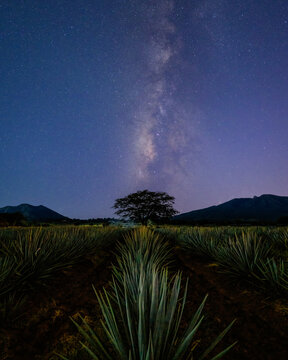 mexico