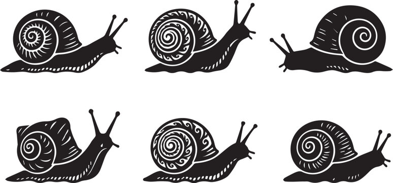 Black and white snail illustrations set