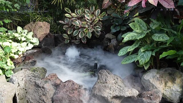 Steam pond in a tropical garden bubbling and steaming