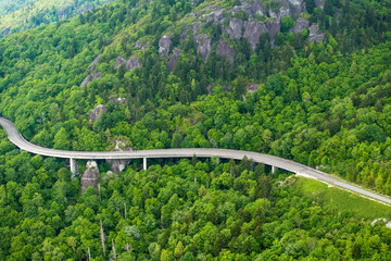 Fototapeta premium Viaduct bridge on winding parkway road in mountain forest with green canopies in summertime. Driving in North Carolina wild woods nature in summer