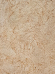 Fototapeta premium Background of the cream-toned abstract wall texture with subtle circular pattern uses a soft blur effect. Plaster wall a rustic style, retro aesthetic, with natural creamy beige colors for decoration.
