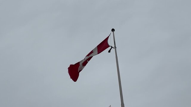 Flags on display in Canada