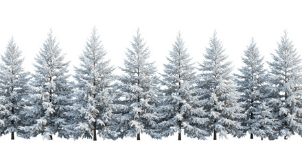 Fototapeta premium a seamless, panoramic line of robust scotch pine trees densely covered in powdery white snow, studio shot against a transparent infinity backdrop with rim lighting. concept for luxury holiday banner