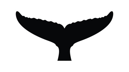Whale Tail Silhouette On White Background Marine Animal Form © RKRifat