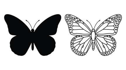 Butterfly Silhouette And Line Art Design On White Background © RKRifat