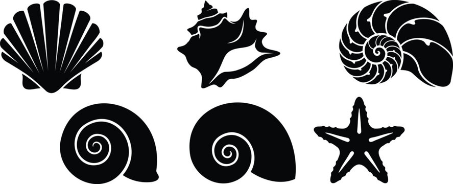 Set of black seashell and starfish icons
