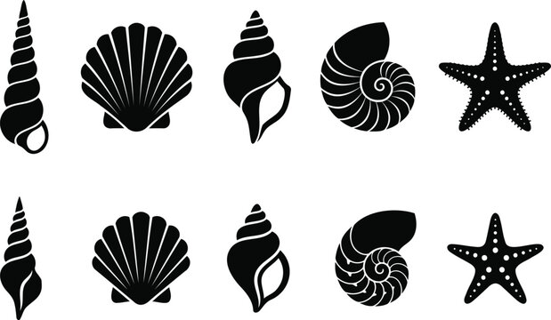 Set of black seashell and starfish icons