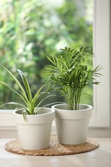 Fototapeta premium Potted houseplants on white wooden window sill indoors