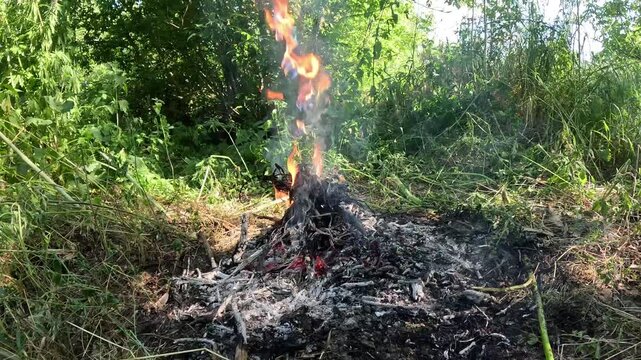 Environmental Pollution From Burning Plastic Cable Wires In Nature