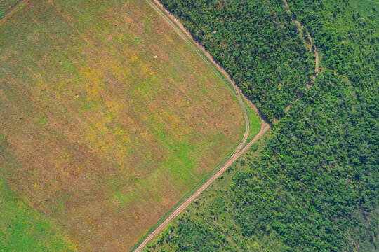 Dirt road boundary between green forest buffer and agricultural land soil erosion concept drone shot