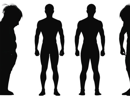 Human silhouettes stand in various poses to represent body composition and physical fitness monitoring concepts for health and wellness applications.