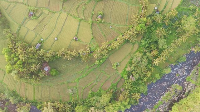 Aerial images of green rice terraces in Vietnam, 4k 30fps 1 inch sensor
