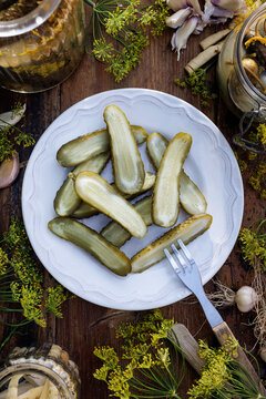 Traditional pickled cucumbers, pickled using the natural fermentation method, on a plate, top view