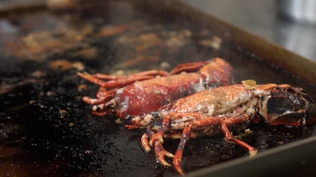 Professional chef preparing fresh seafood on a hot restaurant griddle. Delicious lobsters and clams sizzling in oil for a gourmet meal