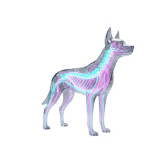 Fototapeta premium A translucent anatomical canine model with glowing cyan and magenta spinal structures surrounded by holographic data on a white background futuristic medical concept