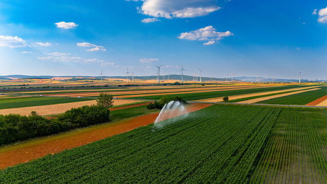 Workers water fields by turbines. Farm workers use equipment to water green crops in large fields. Wind turbines stand in the distance under a blue sky.