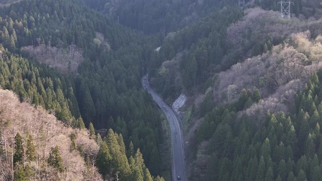 Winding road cuts through lush forested hills. Foggy mist lingers near the valley's edge. Sparse trees dot the hillside in early spring. Single car travels the narrow path