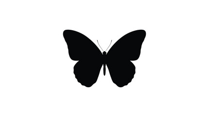 Black butterfly silhouette on a white background simple insect outline © Rumana