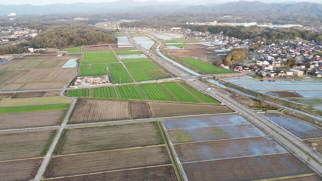 Aerial view of rice paddies and villages. Fields stretch in neat rows, some wet, some green. Villages rest quietly beside waterways. Mountains frame the horizon in soft tones