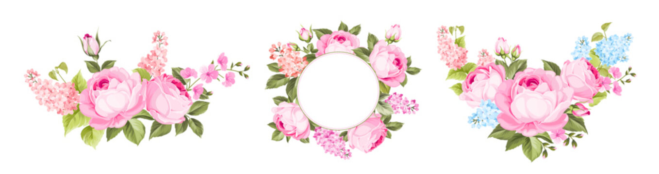Set of tropical flowers elements. Collection of hibiskus, strelitzia
