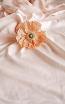 Orange flower on pink silk fabric top view with empty space