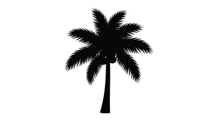 Palm tree silhouette against a white background tropical vegetation design © Kaium