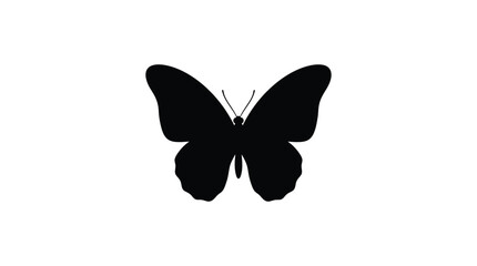Black Butterfly Silhouette On White Background Minimalist Insect Shape © Kaium