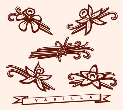Vanilla set. Collection icon vanilla. Vector