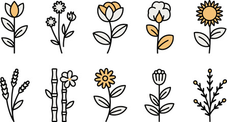 Botanical illustration set linear floral designs with tulips sunflowers bamboo and various blooms © Design_Studio