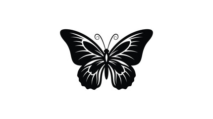 Black butterfly silhouette on a white background detailed wing patterns © Soniya