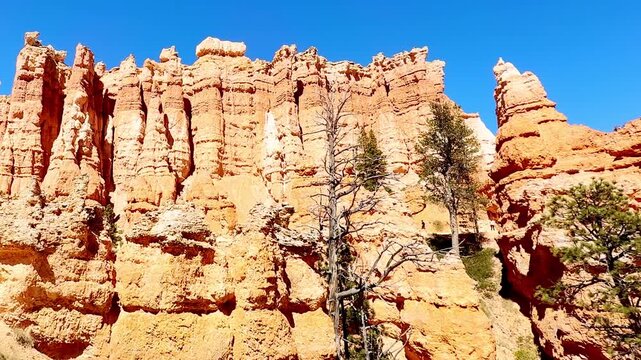 A smooth cinematic video gliding past green pine trees and red sandstone rocks in Bryce Canyon, Utah. Distant hikers are seen exploring the majestic valley trail under a clear blue sky. Nature.