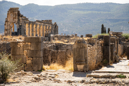 The ruins of Volubilis, near Meknes, Morocco
