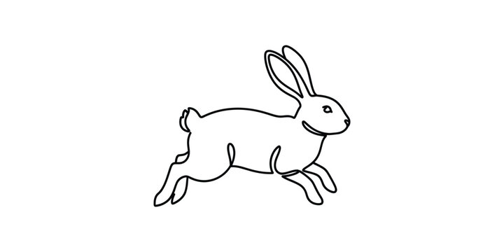 A cute rabbit in motion running.