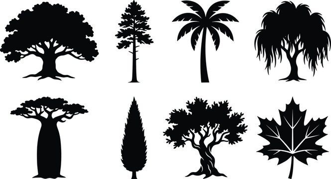 Tree silhouette set featuring diverse botanical species including oak pine palm weeping willow baobab cypress olive and maple leaf