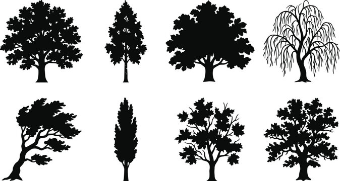 Tree silhouette set featuring various forest and garden species including oak maple willow cypress pine and windswept trees