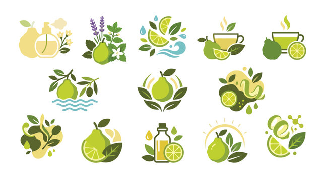 Collection of stylized icons and emblems featuring limes, pears, and herbal elements for branding and design.
