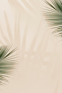 Fresh palm leaves on beige background