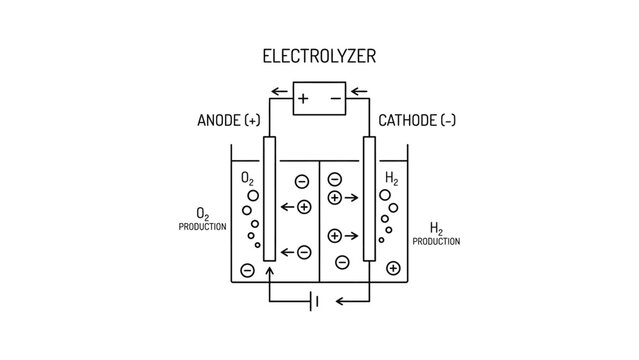 Diagram of a water electrolyzer for hydrogen and oxygen gas production.