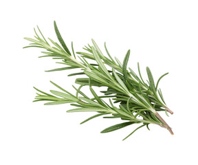 Fototapeta premium Bunch of Fresh Green Thyme Herb Sprigs Isolated